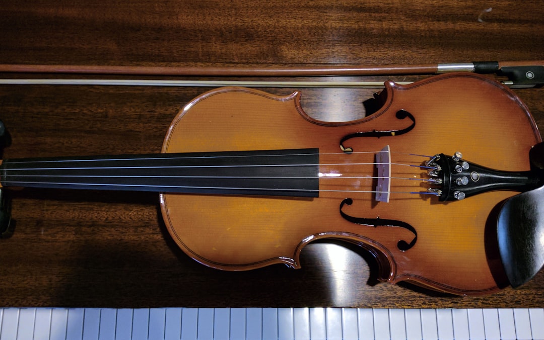 Photo Violin, Strings