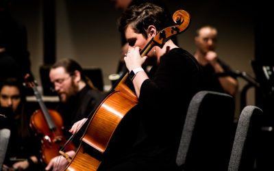 Exploring Violin String Materials: From Gut to Synthetic