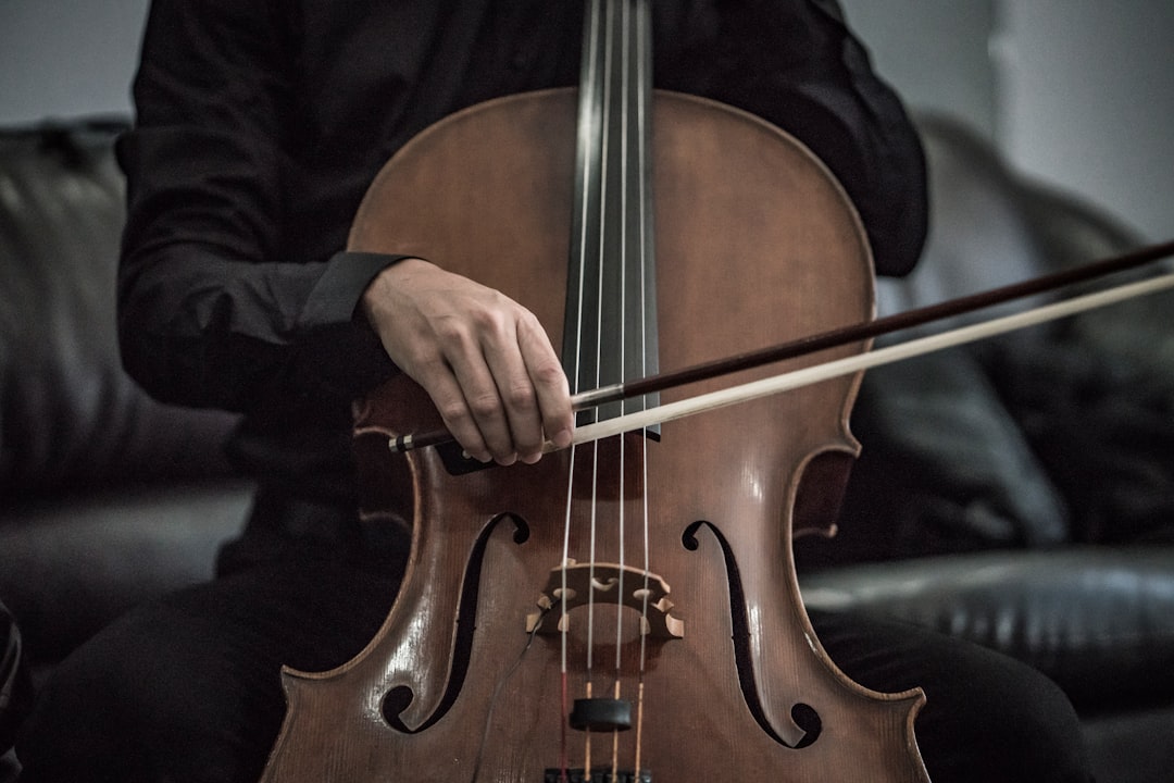 Photo Cello strings