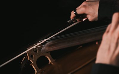 Discover the Superior Sound of Thomastik Versum Violin Strings