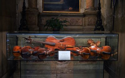 The Rich History of the Viola