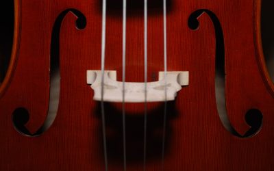 Discover the Superior Sound of Thomastik Infeld Cello Strings
