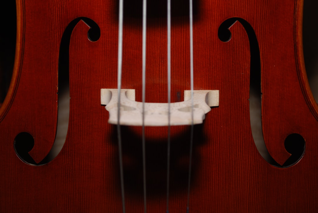 Photo Cello strings