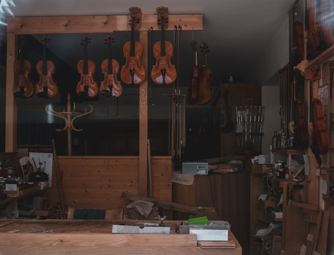 Photo Violin shop