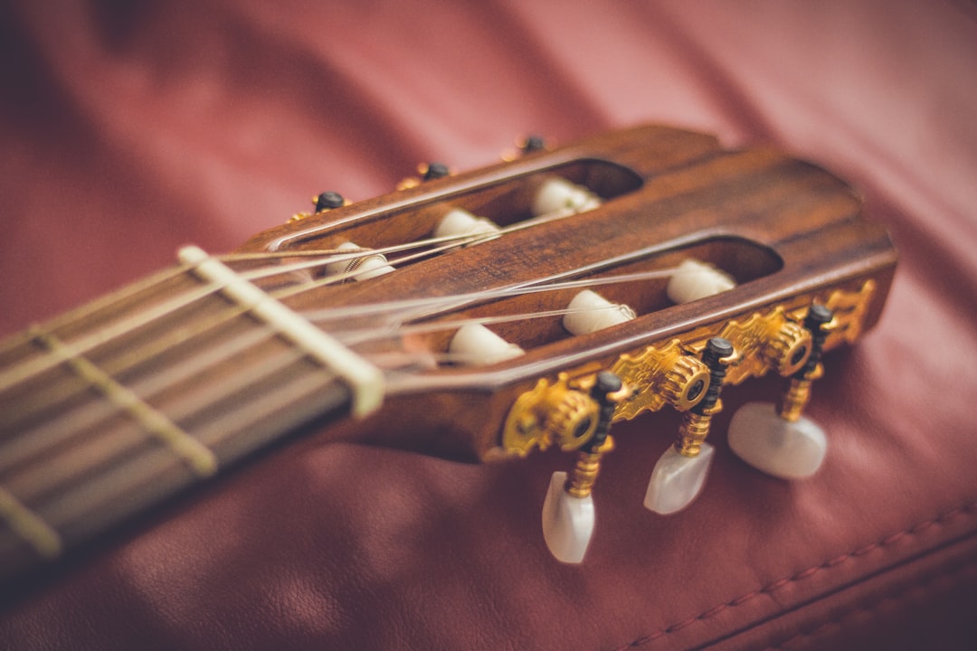 Photo Tuning pegs