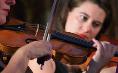 Discover the Best Violin Shop for Your Musical Needs