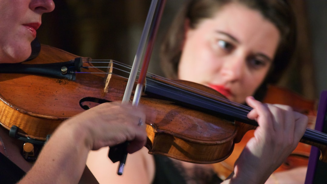 Photo Violin display