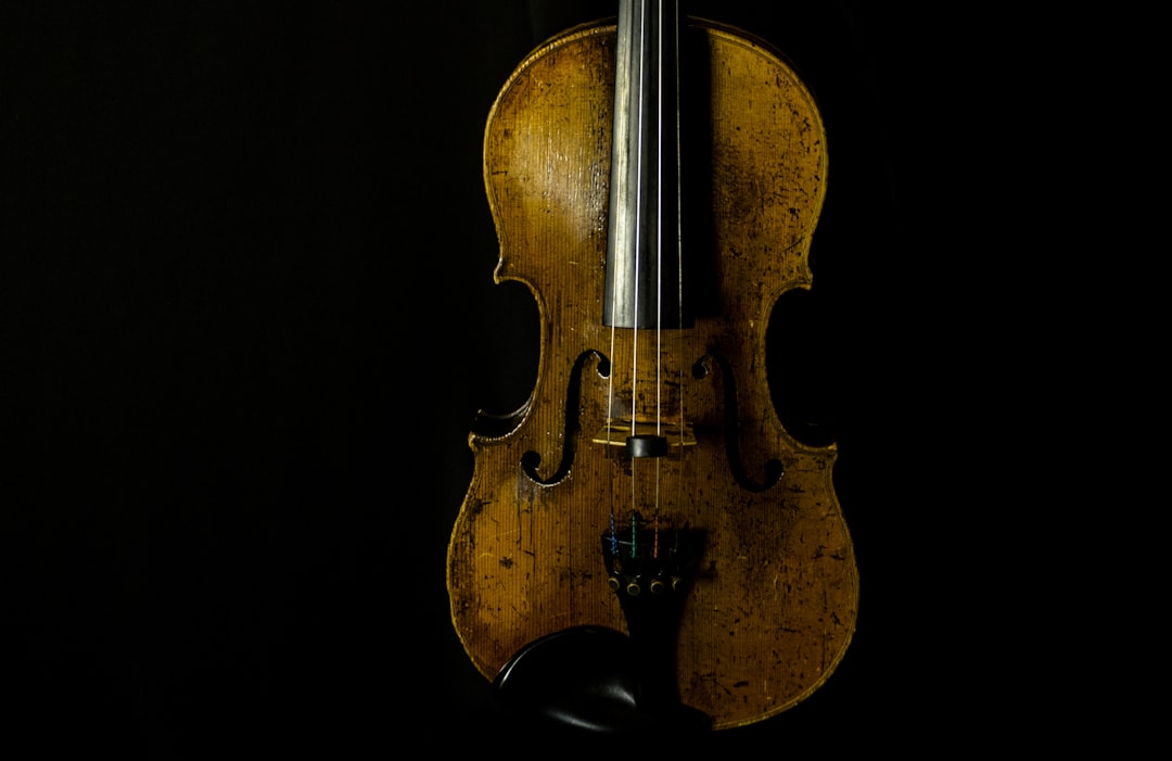 Photo Violin comparison