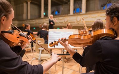 The Harmony of Bow and Violin